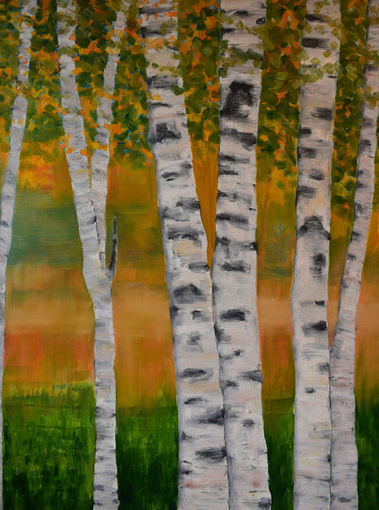 Birch Trees, Oil on Gallery Canvas, 48x36 inches