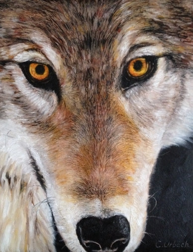 Night Bait, x inches, Oil on Gallery Canvas