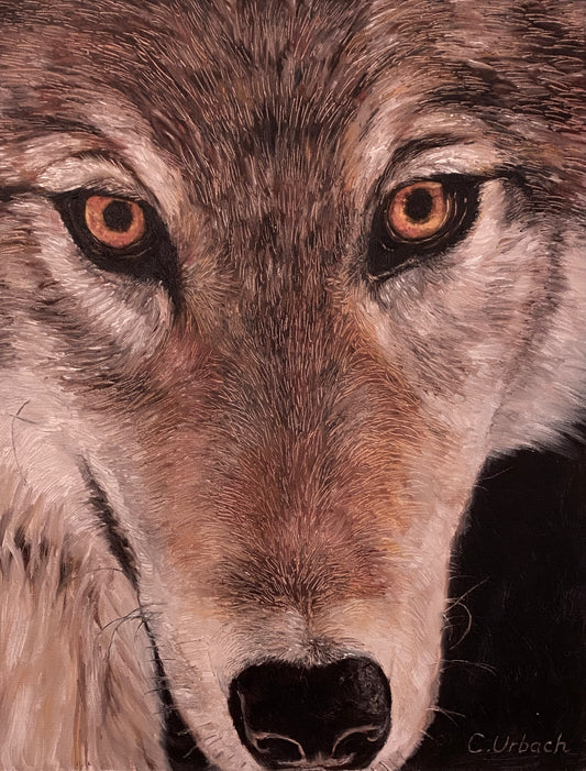 Night Bait, Oil on Gallery Canvas, 18x14 inches