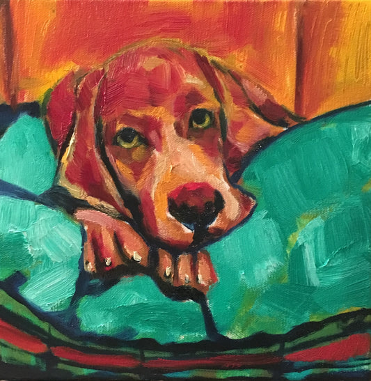 Want to Play? Oil on Regular Canvas, 10x10 inches, 2017